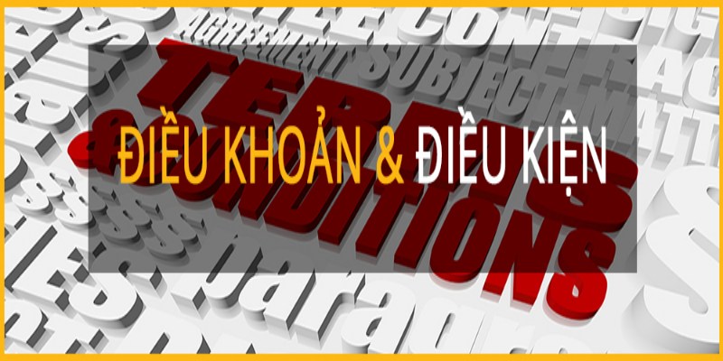 dieu khoan dieu kien ta88 khai niem